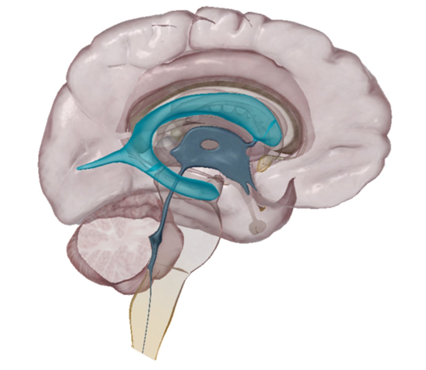 <p>Light blue highlight</p>