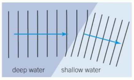<p>When a wave enters shallower water, it slows down and the wavelength gets shorter.</p>