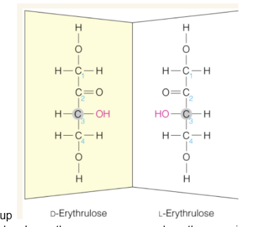 <p>the CH2OH group on the end of the sugar closest to the ketone group</p>