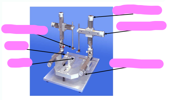 <p>label the steriotaxic frame </p>