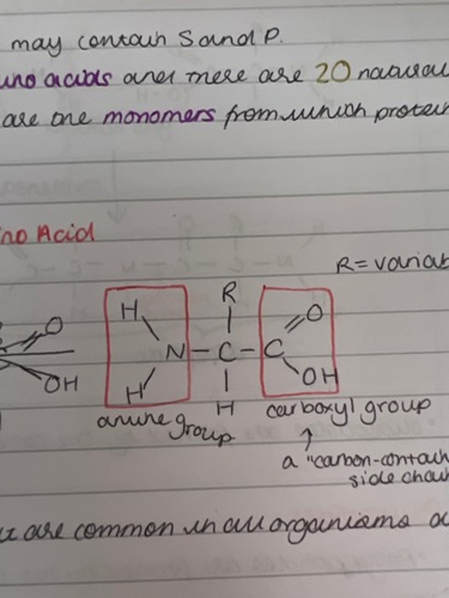 knowt flashcard image