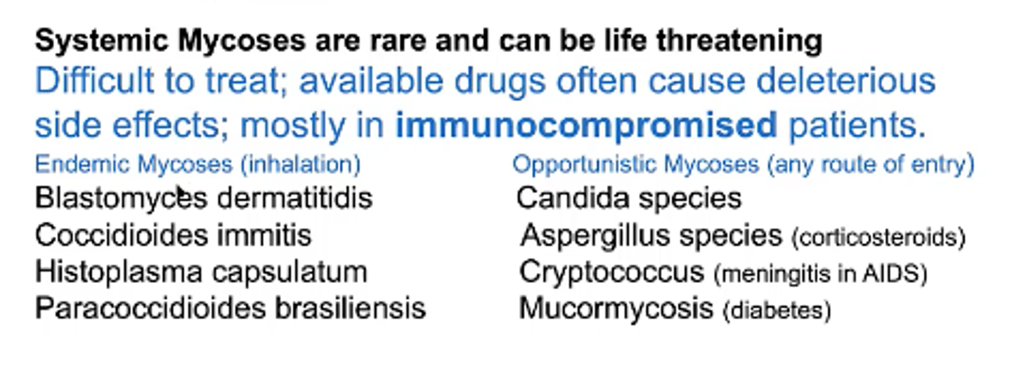 <p>fungal infections that spread throughout the body of those infected - most are found in specific regions (e.g. endemic disease)</p>