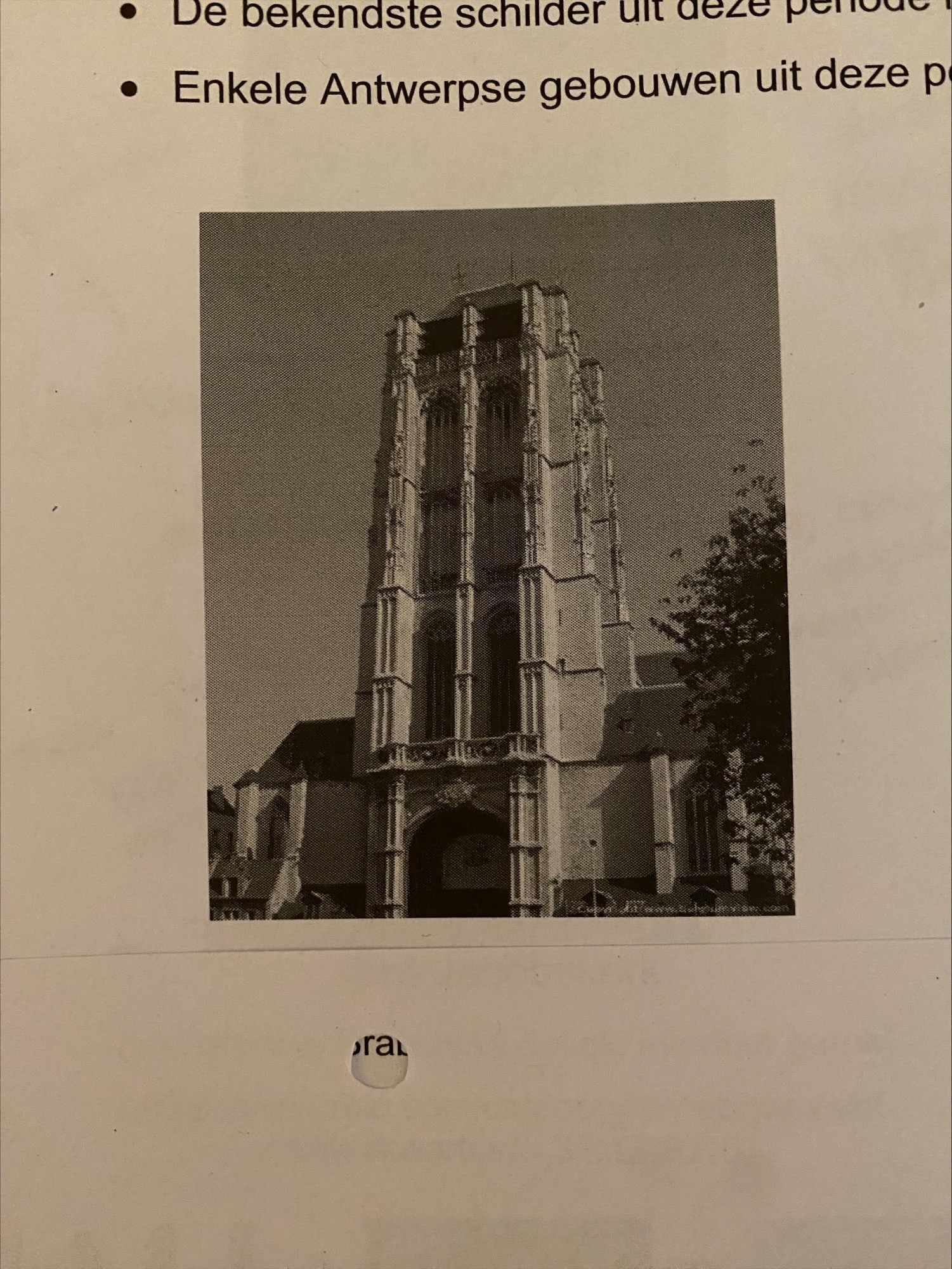 term image