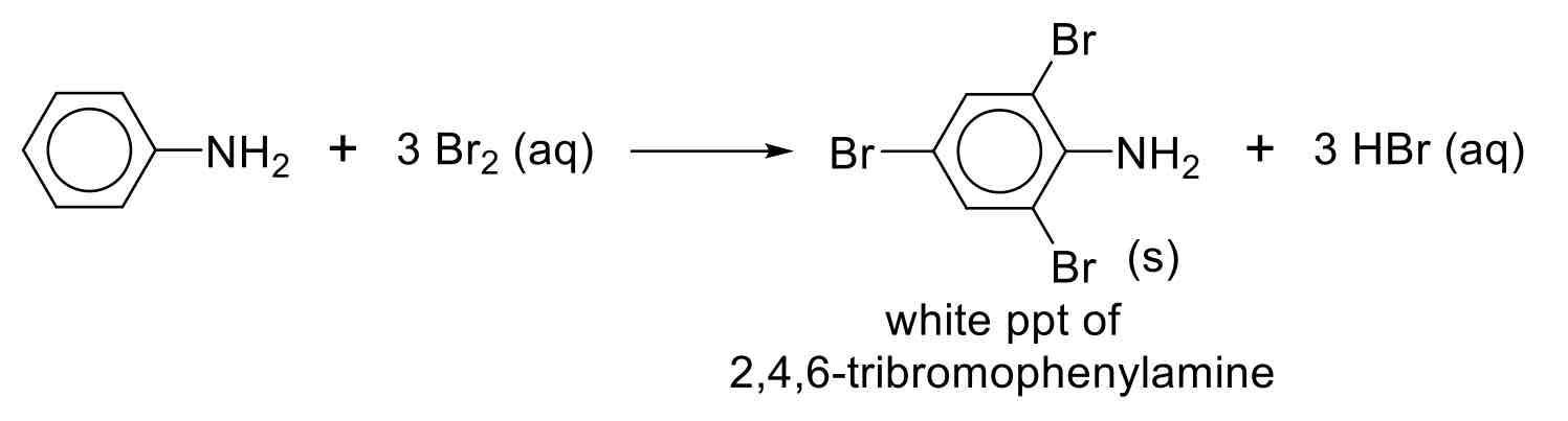 <p>Phenylamine and X2</p>