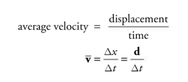 <p>v = d/t</p><p>Vector (magnitude and direction)</p>