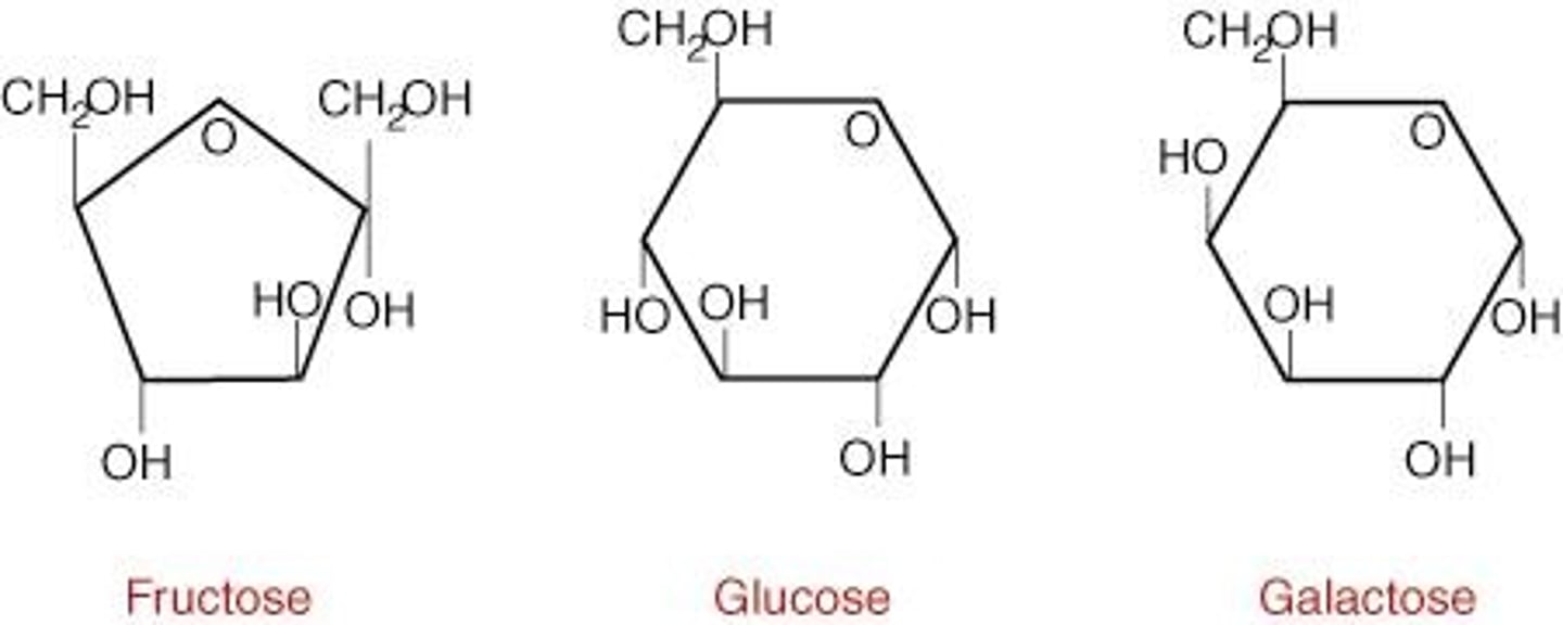 <p>The most common monosaccharide, molecular formula: C6H12O6</p>