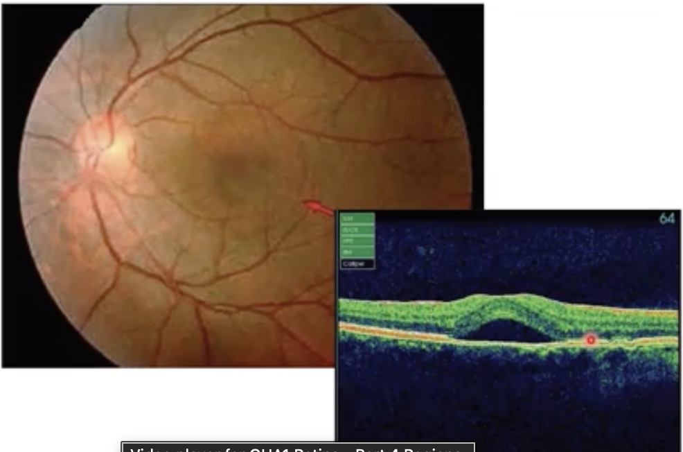 <p>what’s wrong with this image</p>