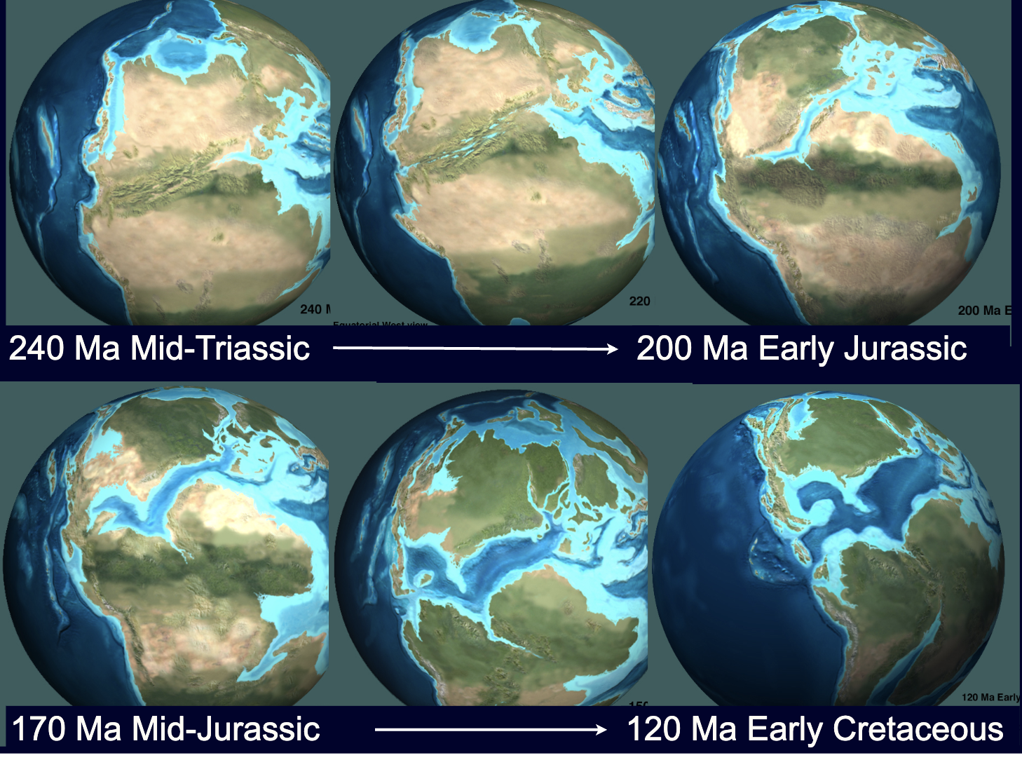 <p>Occured from 240 Ma (Mid-Triassic) — 120 Ma (Late Cretaceous)</p>