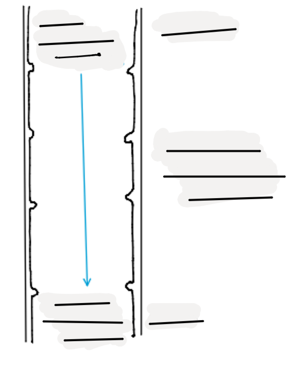 <p>fill in the gaps </p>