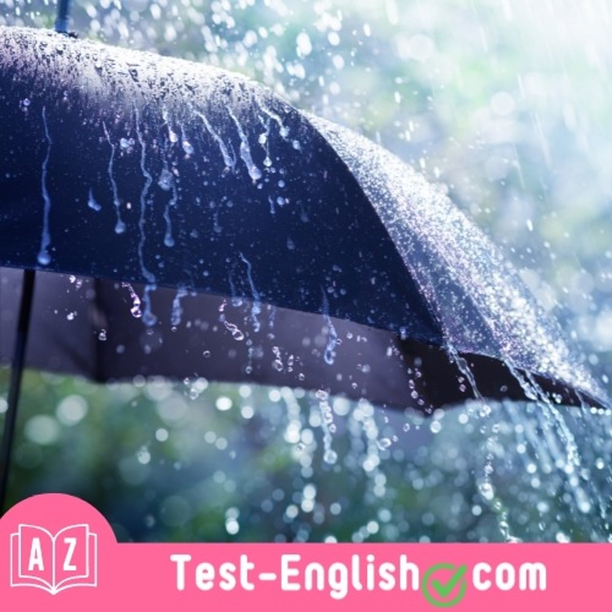 <p>I always take my _____ when it rains.</p>