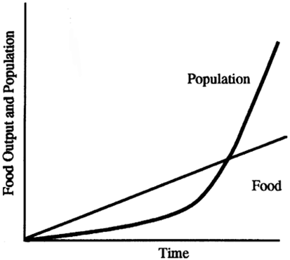 <p>the idea that population growth is potentially exponential while the growth of the food supply or other resources is linear, which eventually reduces living standards to the point of triggering a population die off.</p>