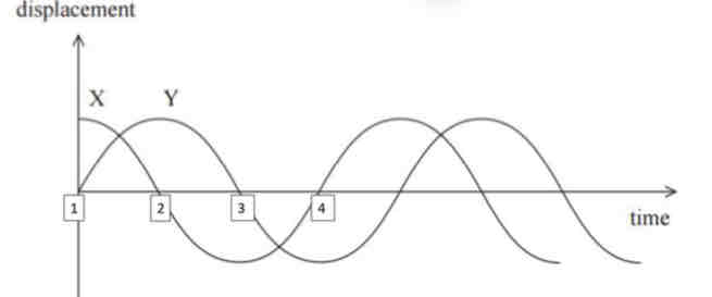 <p>State the phase of waves X and Y at times 1, 2, 3, and 4</p>