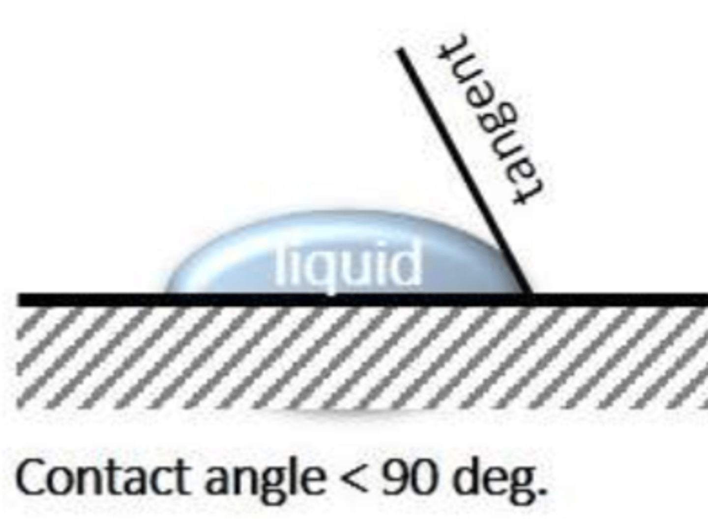 <p>hydrophobic or hydrophilic?</p>