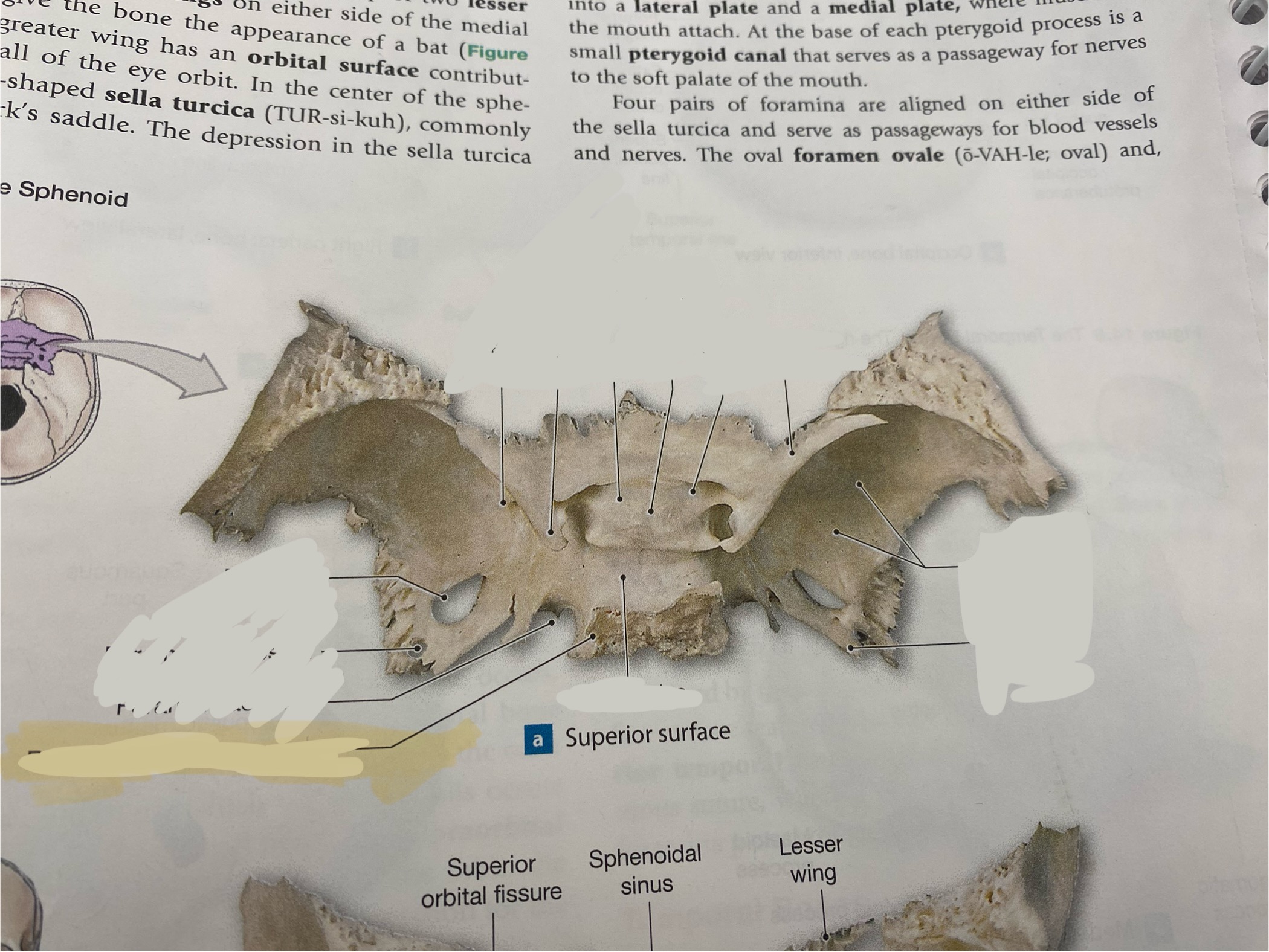<p>What is the structure? </p>