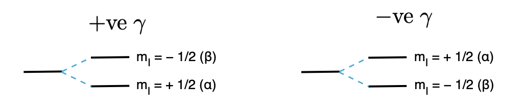 <p>+ve γ = μ points <strong>in same direction</strong> as <strong>I </strong></p><p>-ve m(I) (B) higher in energy (harder to flip)</p><p>-ve γ = μ points <strong>in opposite direction</strong> of <strong>I </strong></p><p>+ve m(I) (a) higher in energy (harder to flip)</p>