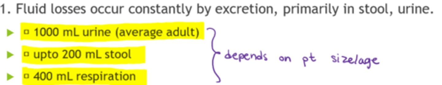<p>- 1000 mL urine (average adult)</p><p>- up to 200 mL stool</p><p>- 400 mL respiration</p>