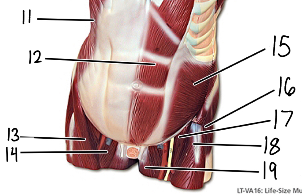 <p>12</p>