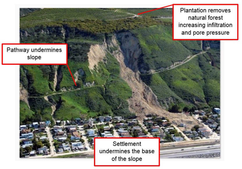 <ul><li><p>deforestation</p><ul><li><p>trees serve two functions </p><ul><li><p>bind the soil increasing shear strength through their roots </p></li><li><p>reduce pore water pressure in slope by reducing infiltration by interception </p></li></ul></li></ul></li><li><p>house construction</p><ul><li><p>undermine slope stability</p></li><li><p>be building houses on the slope = adds weight to the slope which increases shear stress</p></li><li><p>water infiltration may also be disturbed - may increase instability </p></li></ul></li><li><p>road construction</p><ul><li><p>building at base = undermine stability</p></li><li><p>consider this as removing the foundation of a building </p></li></ul></li></ul>