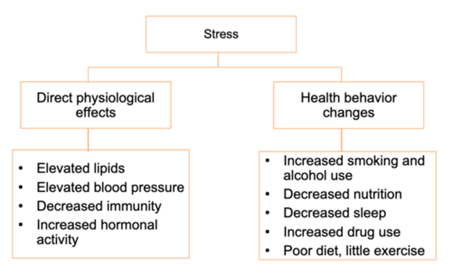 <p>Stress may not directly cause illness, but it does make us more vulnerable, by influencing our physiology and our behaviors.</p>