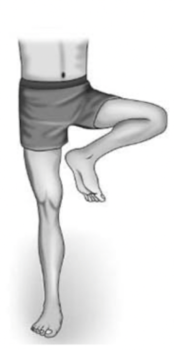 <p>Hip flexion, abd, ER</p><p>Knee flexion</p><p>DF, inversion• Toe dorsiflexion</p>