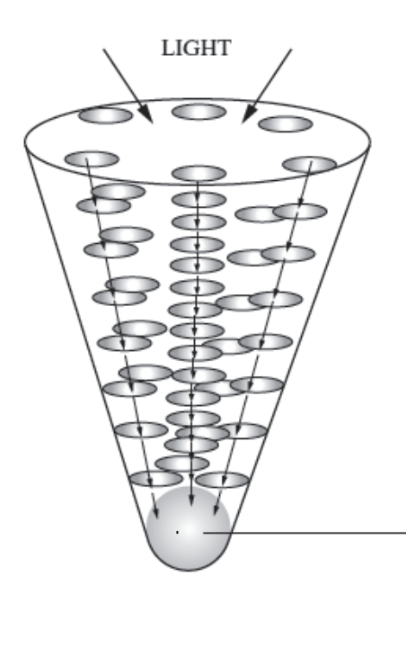 <p>photosystem structure</p>