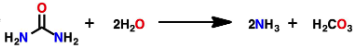 <p>What makes the function of urease a good example of catalyst function of an enzyme?</p>