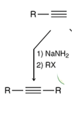 <p>NaNH2 keeps the triple bond, the halogen gives a space for the R group to be added to deprotonate the H</p>
