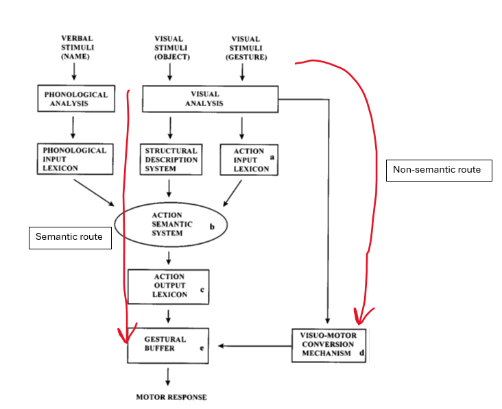 <p>proposes apraxia can be modality specific and different pathways are used for the completion of actions; has a semantic and nonsemantic route</p>