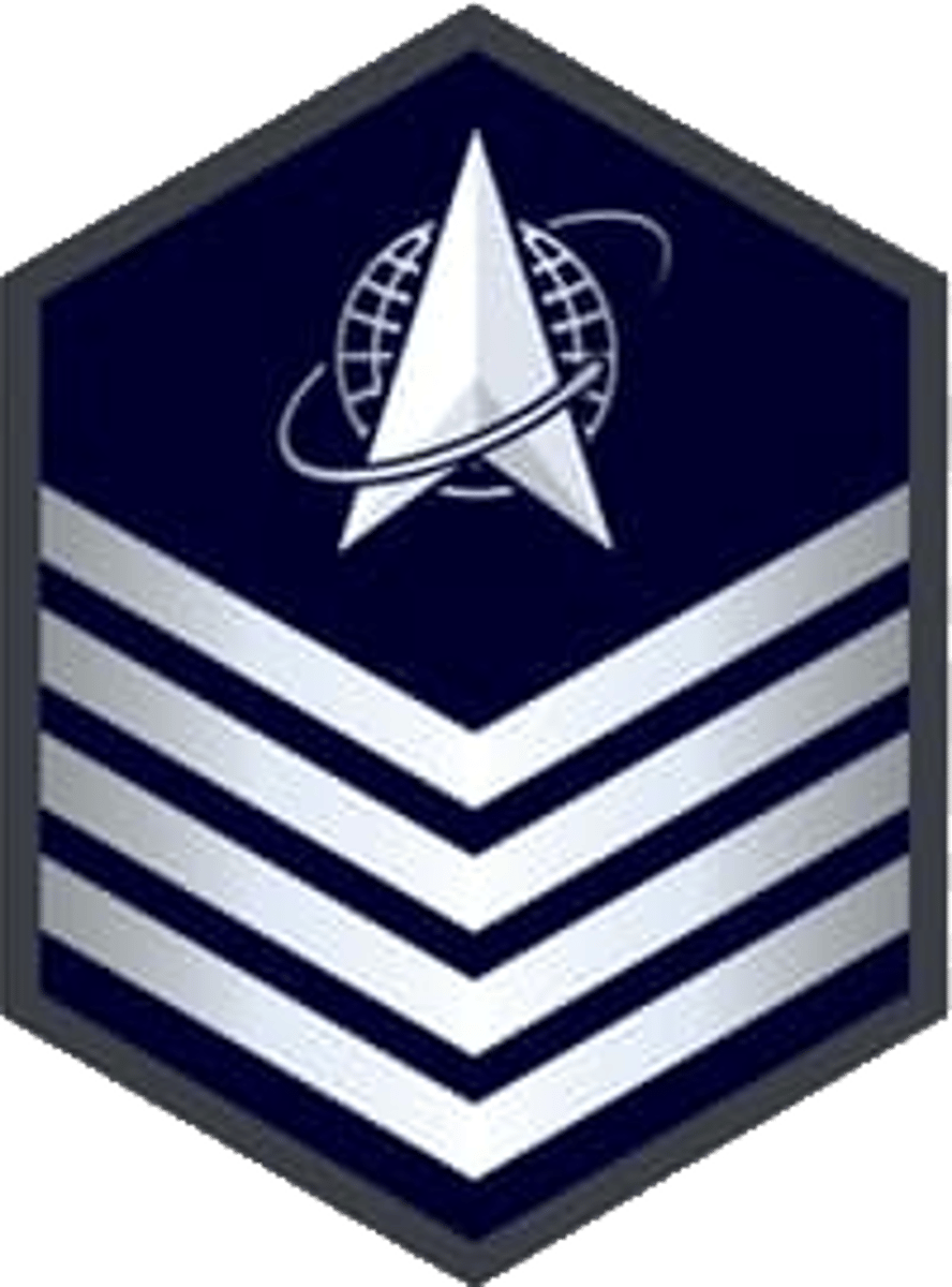 <p>Technical Sergeant</p>