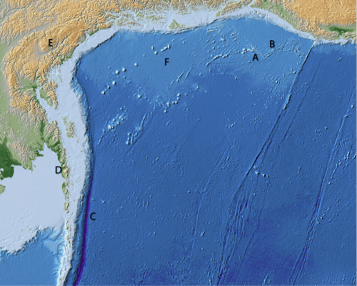 <p>convergent boundary</p>