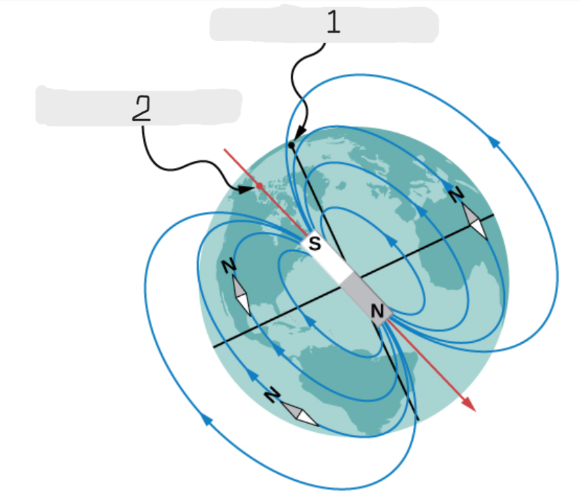 <p>(2)</p>