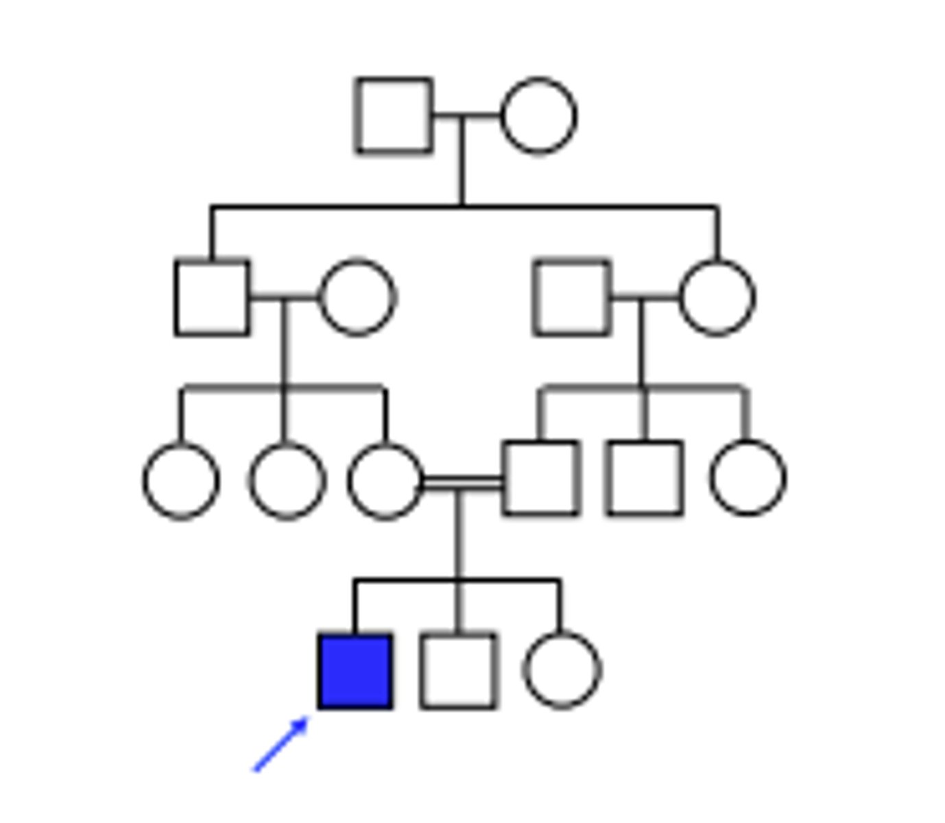 <p>Pattern of inheritance?</p>