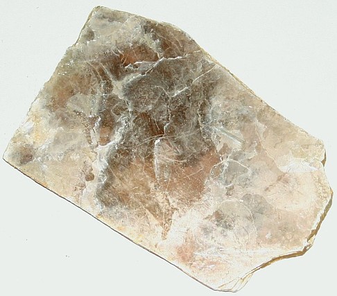 <p>Muscovite</p>