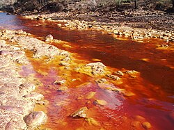 <ul><li><p>Red in colour due to mining activity and basin rich in minerals (gold, copper, iron)</p></li><li><p>Mine drainage may have intensified the colour by adding heavy metals and increasing its acidity </p></li><li><p>Acidity makes it extremely difficult for developed life forms to appear</p><ul><li><p>Microorganisms suited for harsh acidic conditions play a major role in the creation of this landscape</p></li><li><p>Some organisms transform sulphur and iron into sulfuric acid and iron oxide → causes coloration and acidification</p></li></ul></li></ul><p></p>