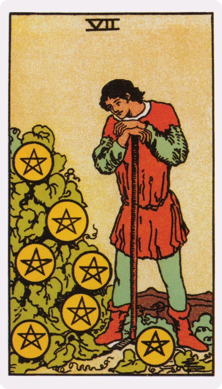 <p>7 🌱</p>