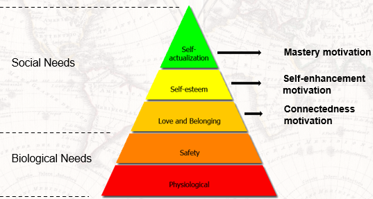 Biological needs - survival (self-preservation)
(e.g., physiological; safety)

Social needs - establishing and maintaining relationships
love and belonging (connectedness motivation);
self-esteem (self-enhancement motivation);
self-actualization (mastery motivation)