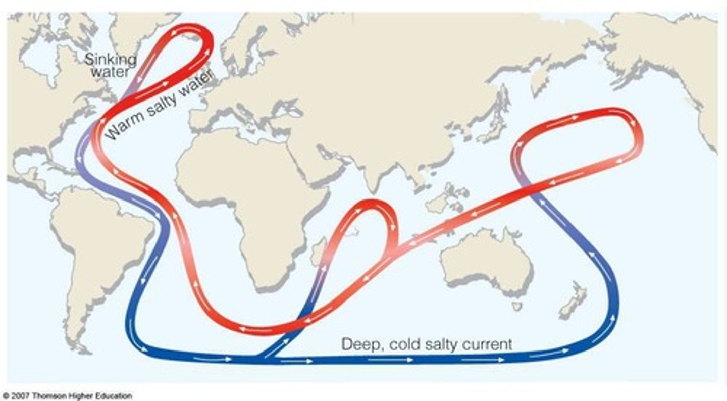 <p>Current that brings warm salty water to northwest Europe, affecting winter temperatures.</p>