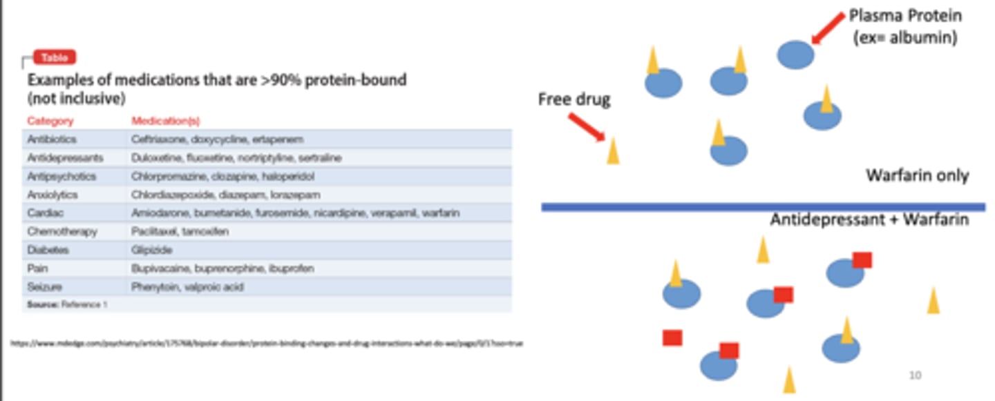 <p>plasma protein binding - just an example</p>