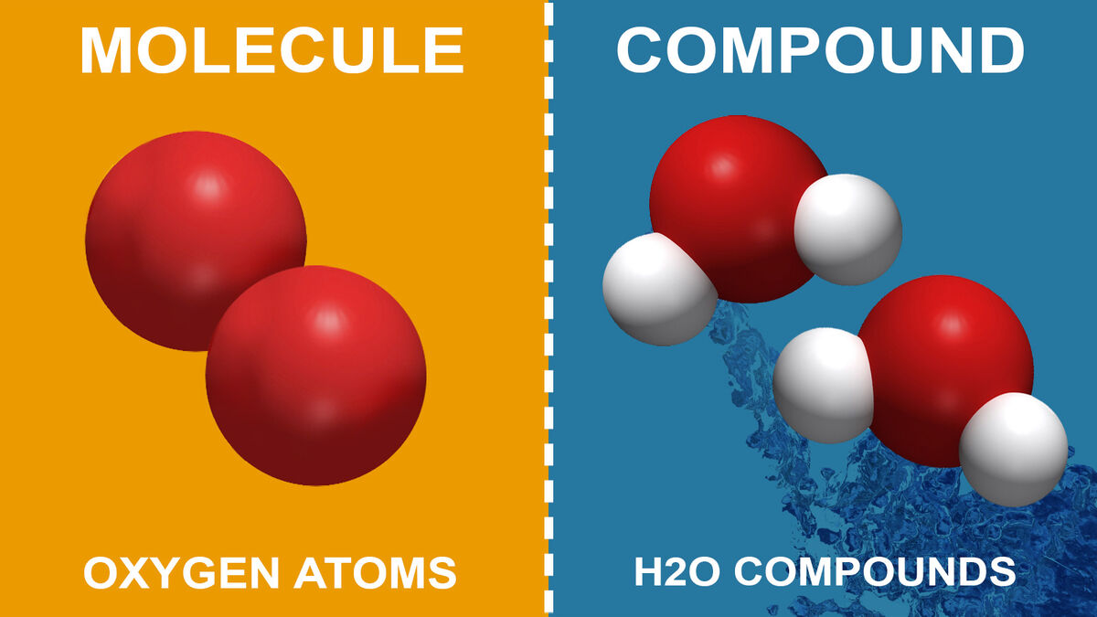 difference between a molecule and compound