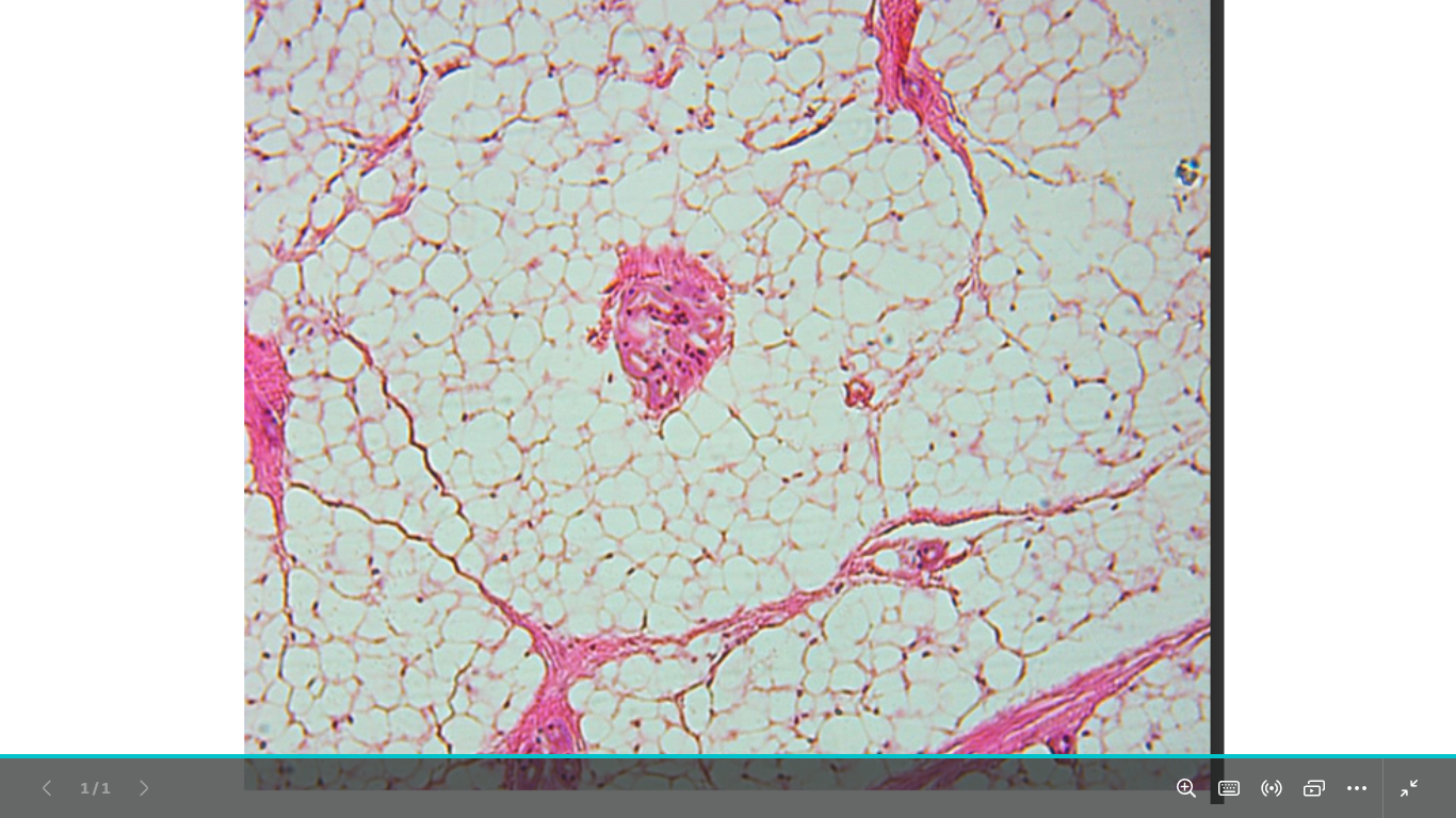 <p>identify</p><p>mention one site  </p>