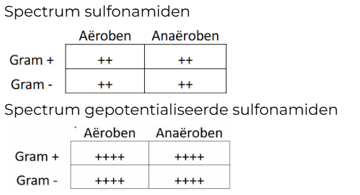 <p>Competitie met PABA</p><p>Gebruik: UTIs</p>