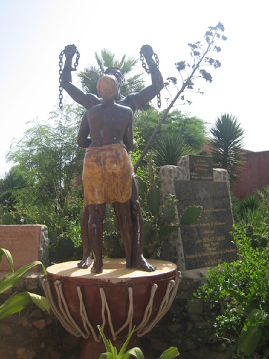 <p>Declared martial law and promise freedom for slaves</p>