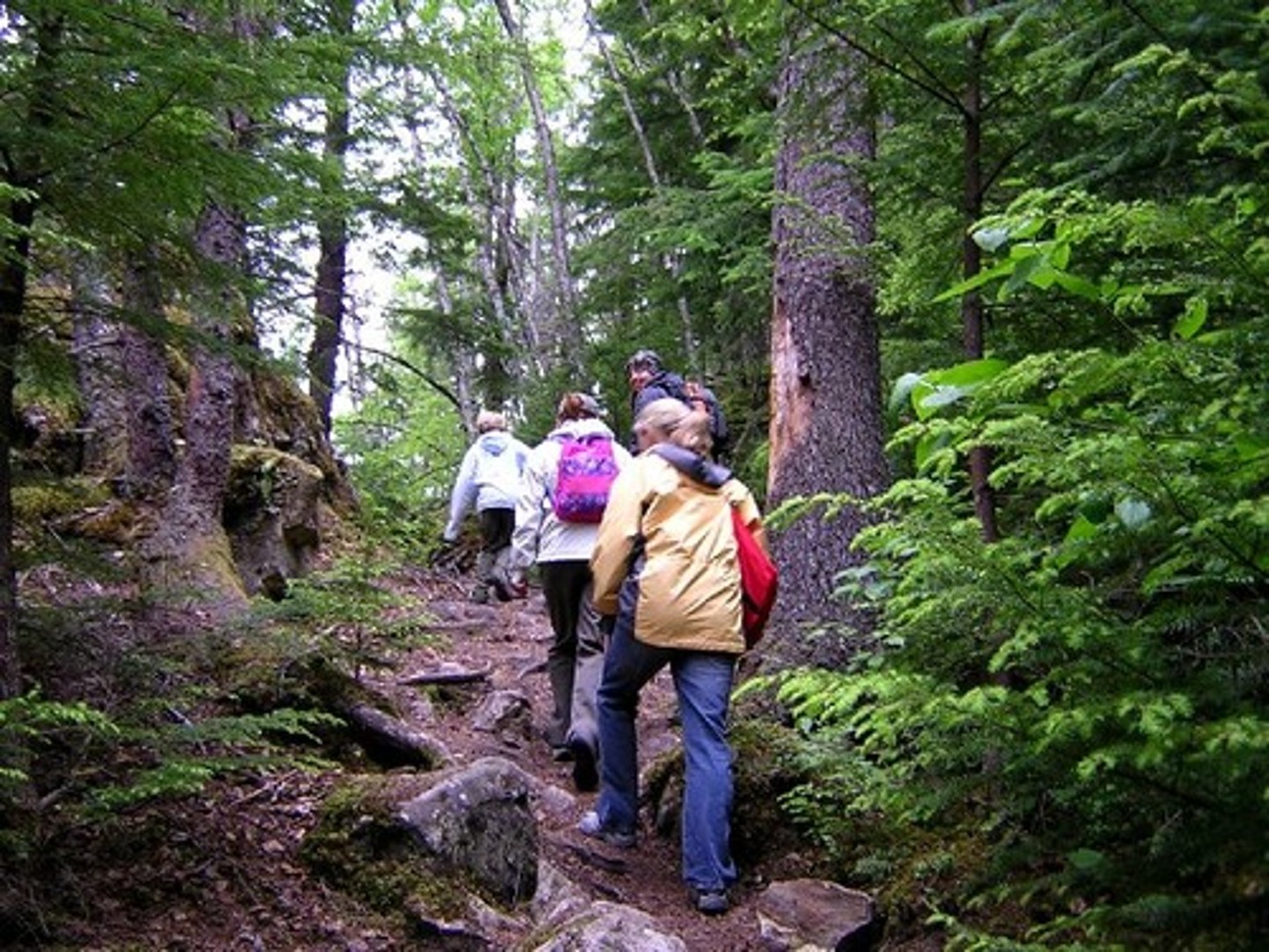 <p>to hike</p>