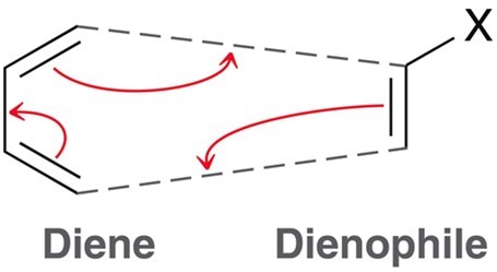 <p>A conjugated system with an alkene form a cyclic or bicyclic system with a single pi bond or dimer. Dieneophile must posess an electron withdrawing group such as an R, OR, OH, or CN group. Diene must be in the s-cis conformation. </p>