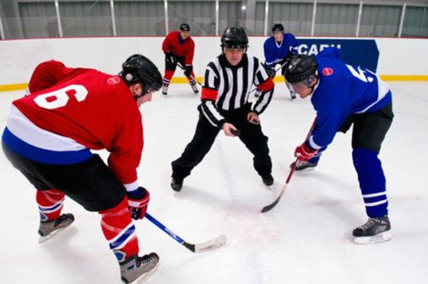 <p>to play ice hockey</p>