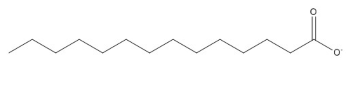 <p>The compound shown below belongs to which of the four major types of biomolecules?</p><p><br>&nbsp;</p>