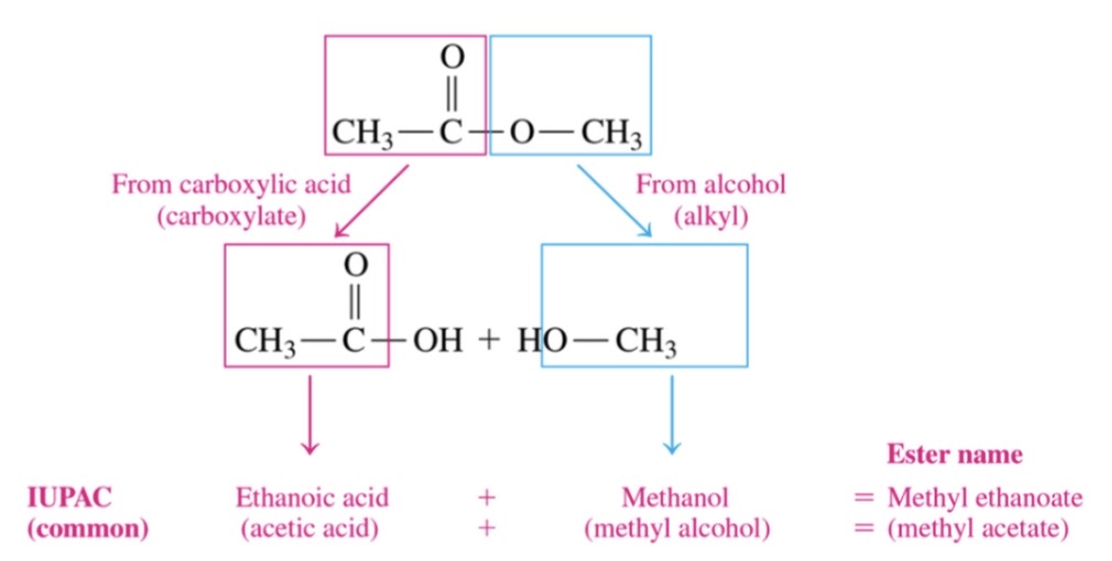\-first word indicated alkyl part from alcohol

\-sec word carboxylate from carboxylic acid 