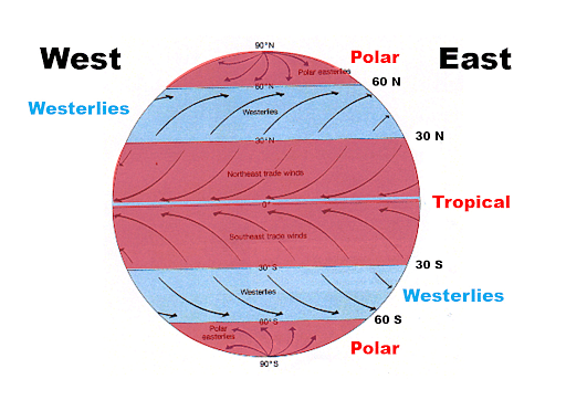 <p>Polar Easterlies</p>