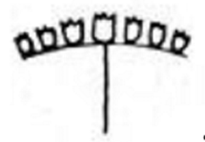 <p>Dense cluster of sessile/subsessile flowers</p>