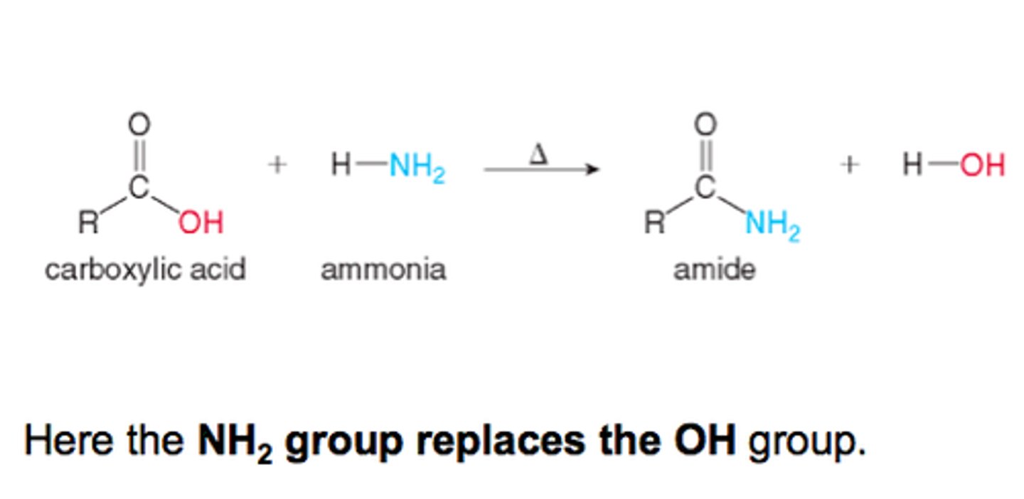 <p>can do in the picture of if the amine has an r group already make sure the entire amide is added together to make an enamide</p>